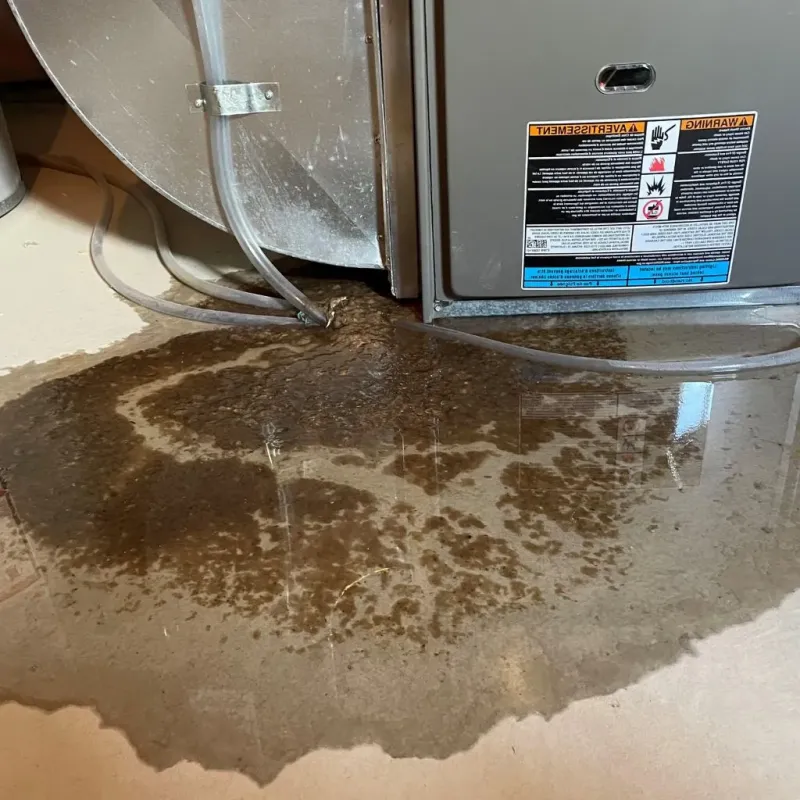 Pipe Burst and Leak Restoration in Indios, PR
